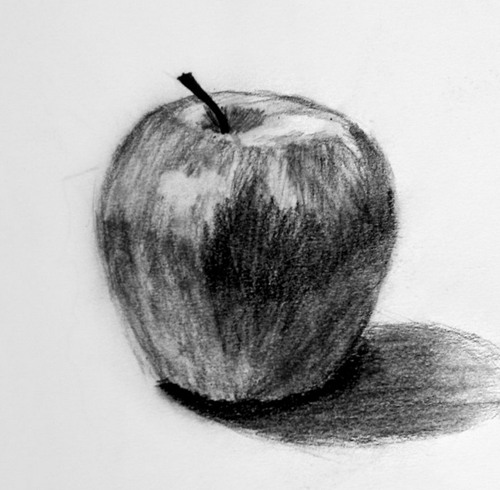 苹果素描图片9精选静物素描