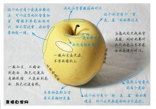 苹果绘画