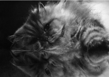 超写实猫素描写实猫
