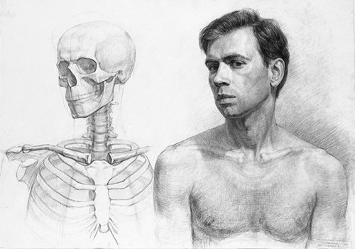 人体肌肉和骨骼草图的比较