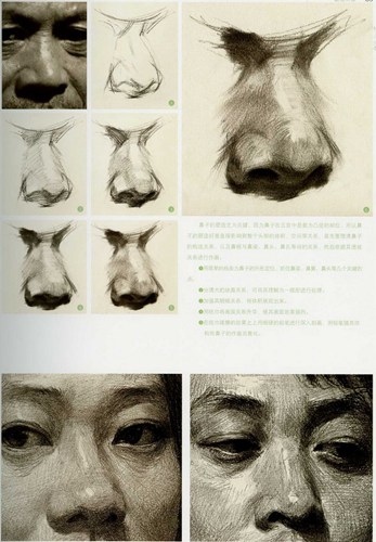 鼻子素描画法