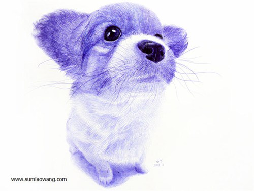 超级可爱的动物:小狗圆珠笔素描