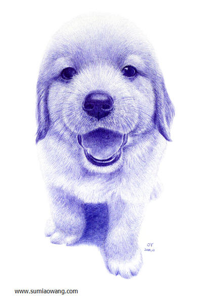 超级可爱的动物:小狗圆珠笔素描