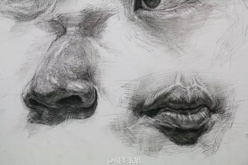 眼睛、鼻子、嘴巴和耳朵的草图