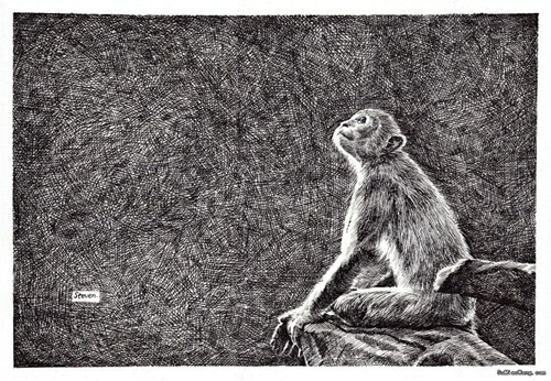 猴子素描动物笔画