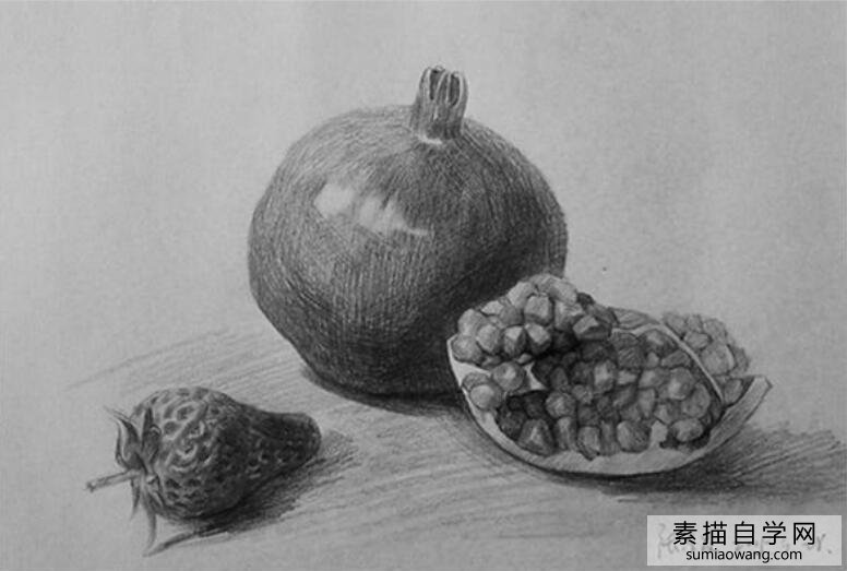 水果:石榴和草莓素描