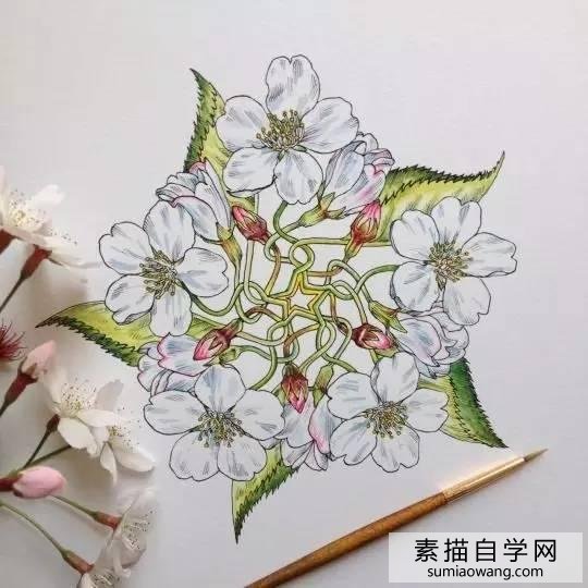 针笔素描花朵美丽创意手绘