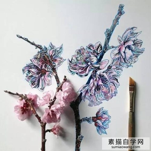 针笔素描花朵美丽创意手绘