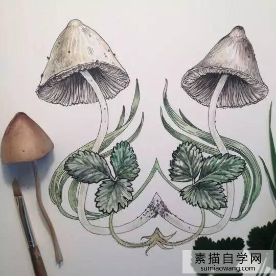 针笔素描花朵美丽创意手绘