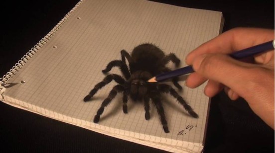 手绘超逼真3D立体图蜘蛛