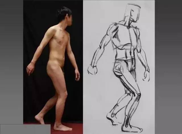 人体素描:人体动态照片结构的素描复制品