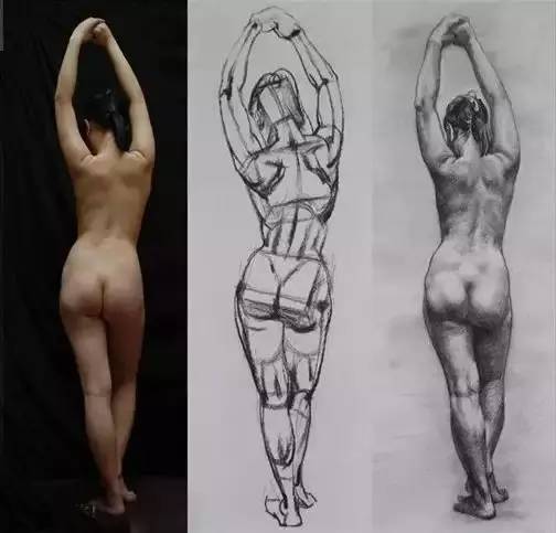 人体素描:人体动态照片结构的素描复制品