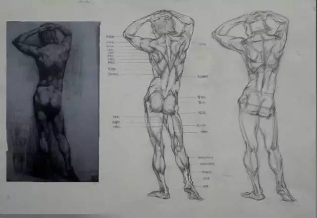 人体素描：人体动态照片 结构速写素描临摹图