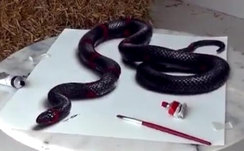 蛇的超逼真3D立体画 画法视频教程