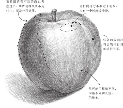 素描排线技巧：线条的三维空间关系 体积的塑造