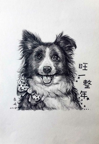 狗狗素描课程可爱狗狗艺术作品