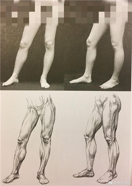 人物腿部各角度照片与结构素描对照图