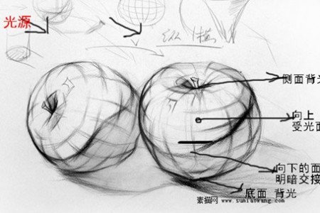 素描苹果画法解析步骤图 以苹果学素描
