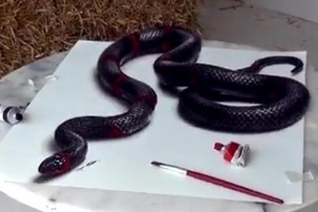蛇的超逼真3D立体画 画法视频教程