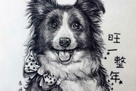 狗狗素描画教程 可爱狗狗美术作品