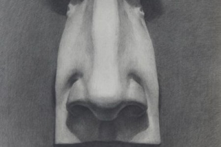 石膏鼻子草图