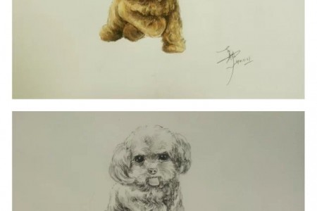 水彩画和狗素描