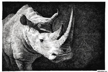 犀牛素描动物素描手绘