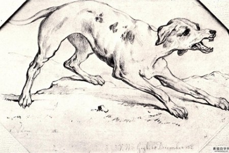 狗素描——文森特·梵高1862