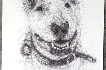 圆珠笔动物素描:斗牛梗和狗的视频绘图
